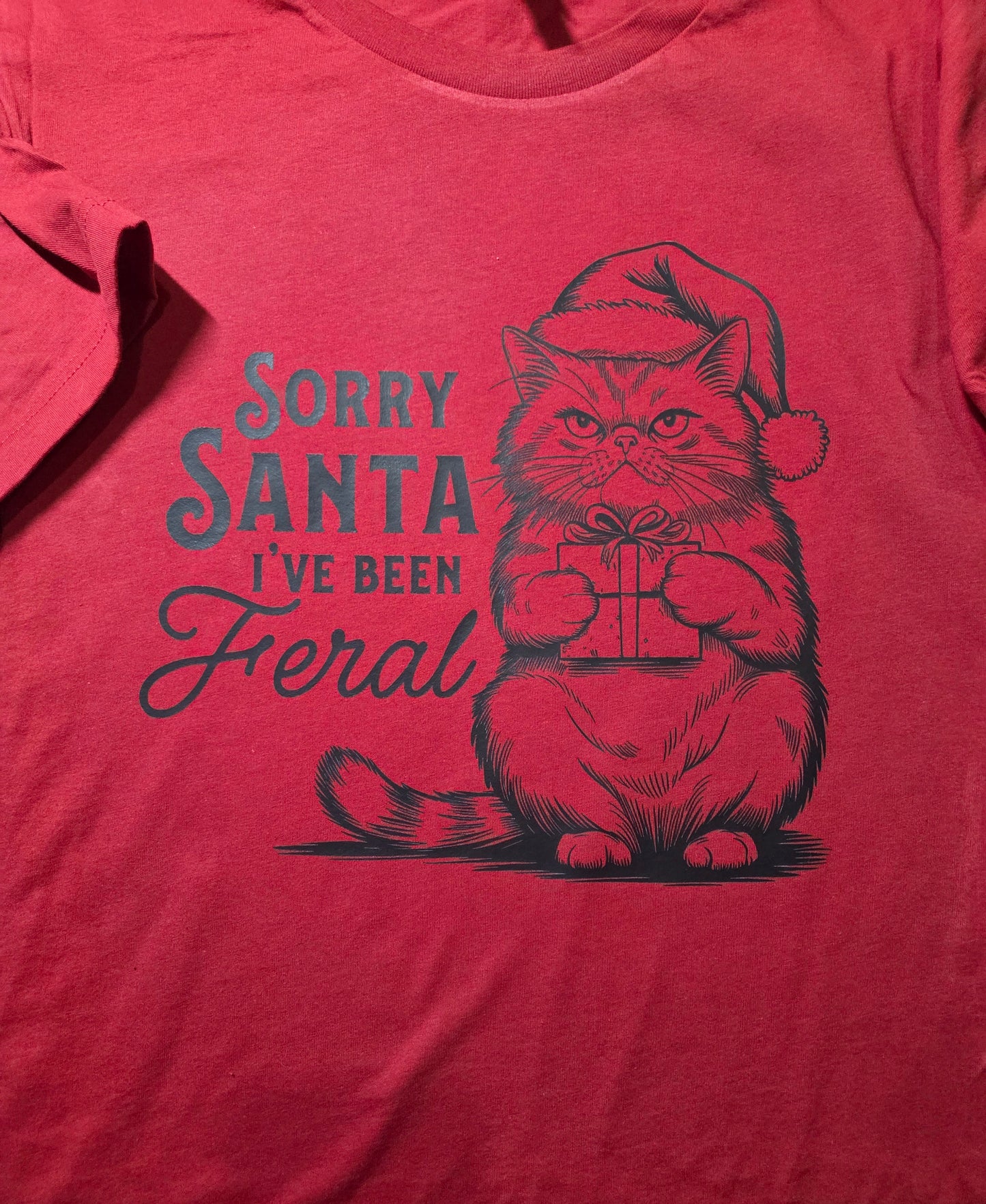 Sorry Santa I've Been Feral T-Shirt