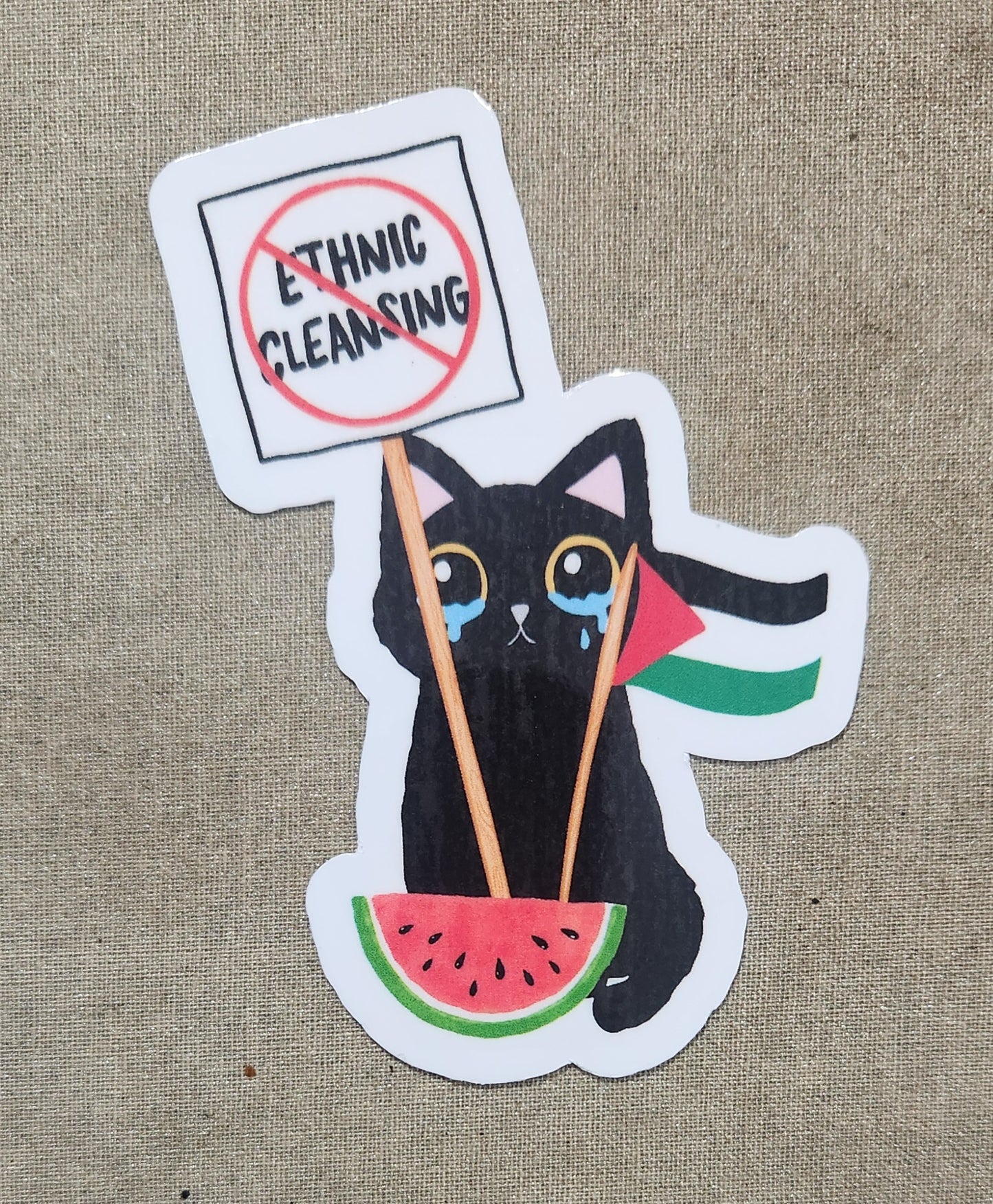 Anti Ethnic Cleansing Palestine Sticker