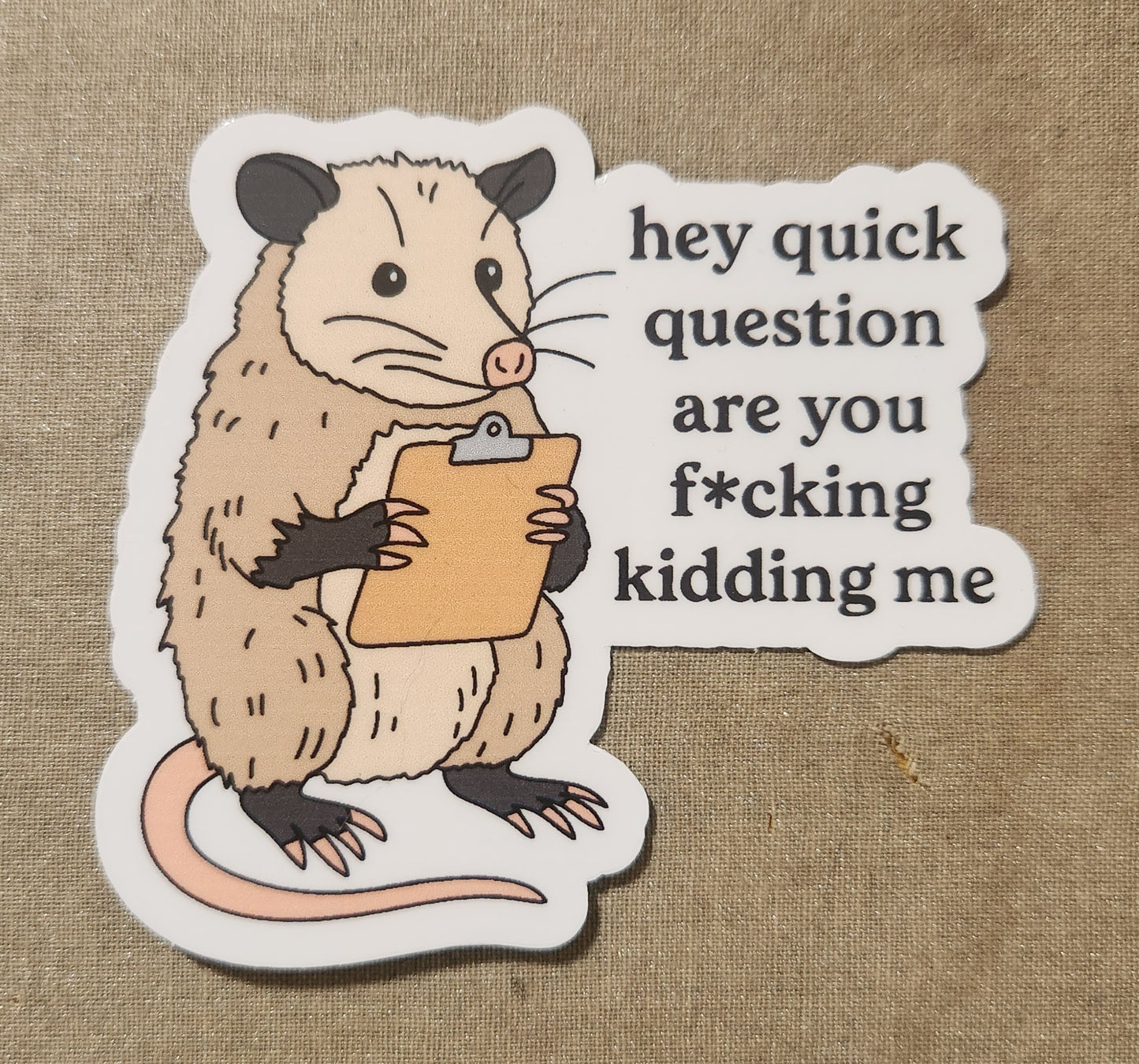 Hey Quick Question Possum Sticker