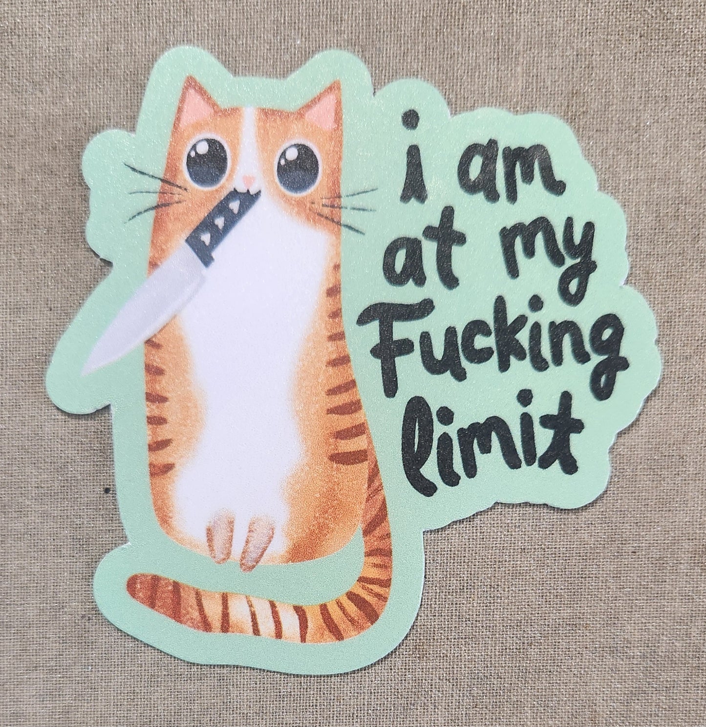 I Am At My Fucking Limit Sticker