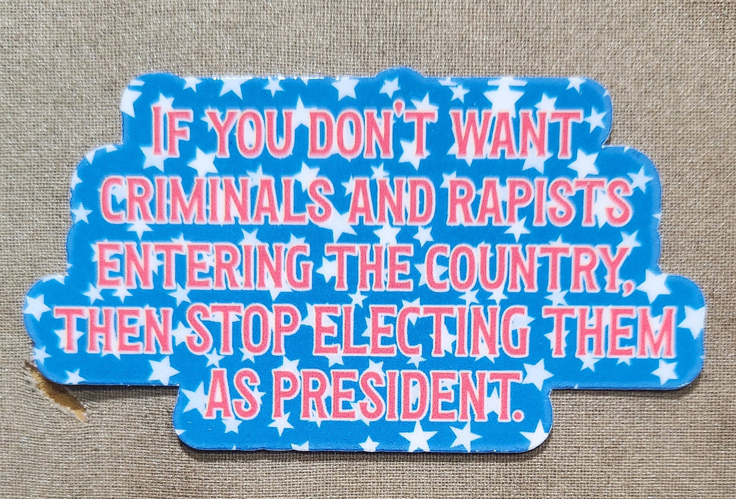 If You Don't Want Criminals and Rapists Entering the Country Sticker