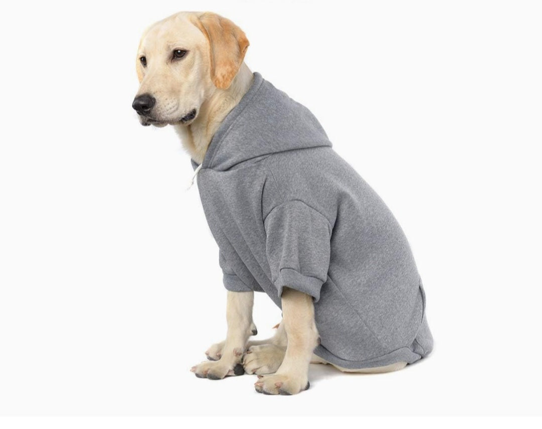 Pet Hoodie