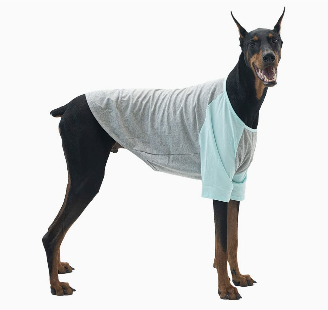Pet Baseball-Style Shirt