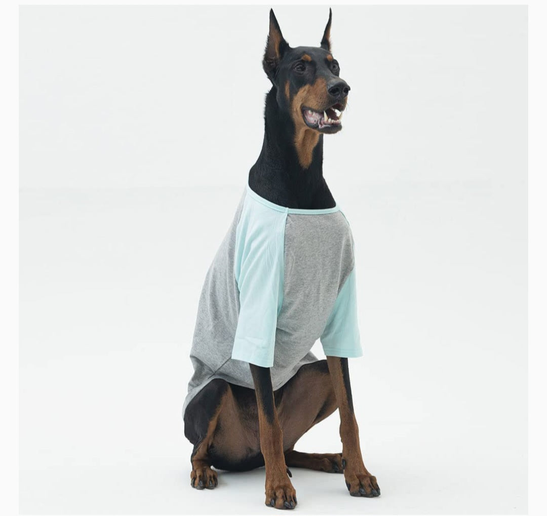 Pet Baseball-Style Shirt