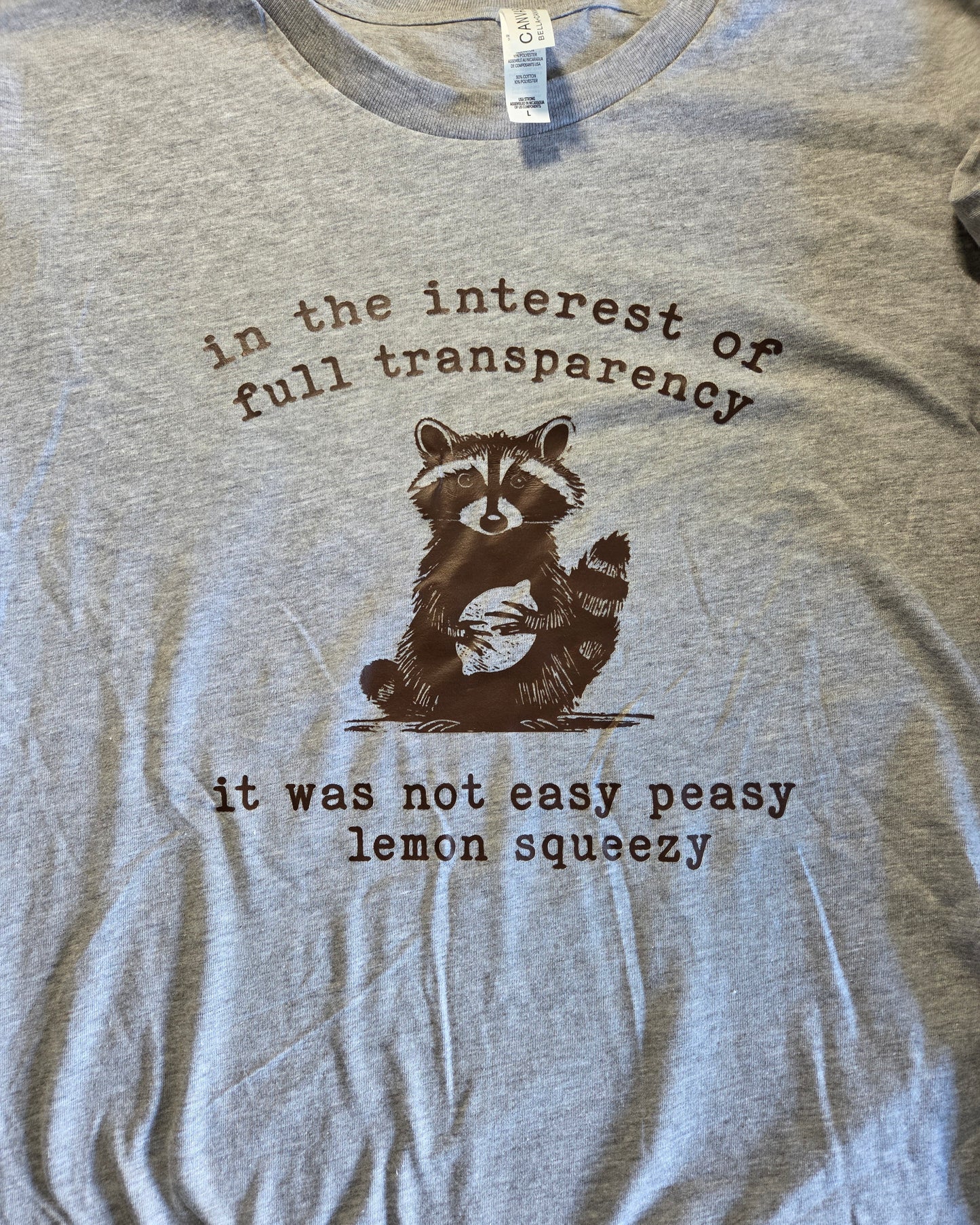 In the Interest of Full Transparency It Was Not Easy Peasy Lemon Squeezy T-Shirt
