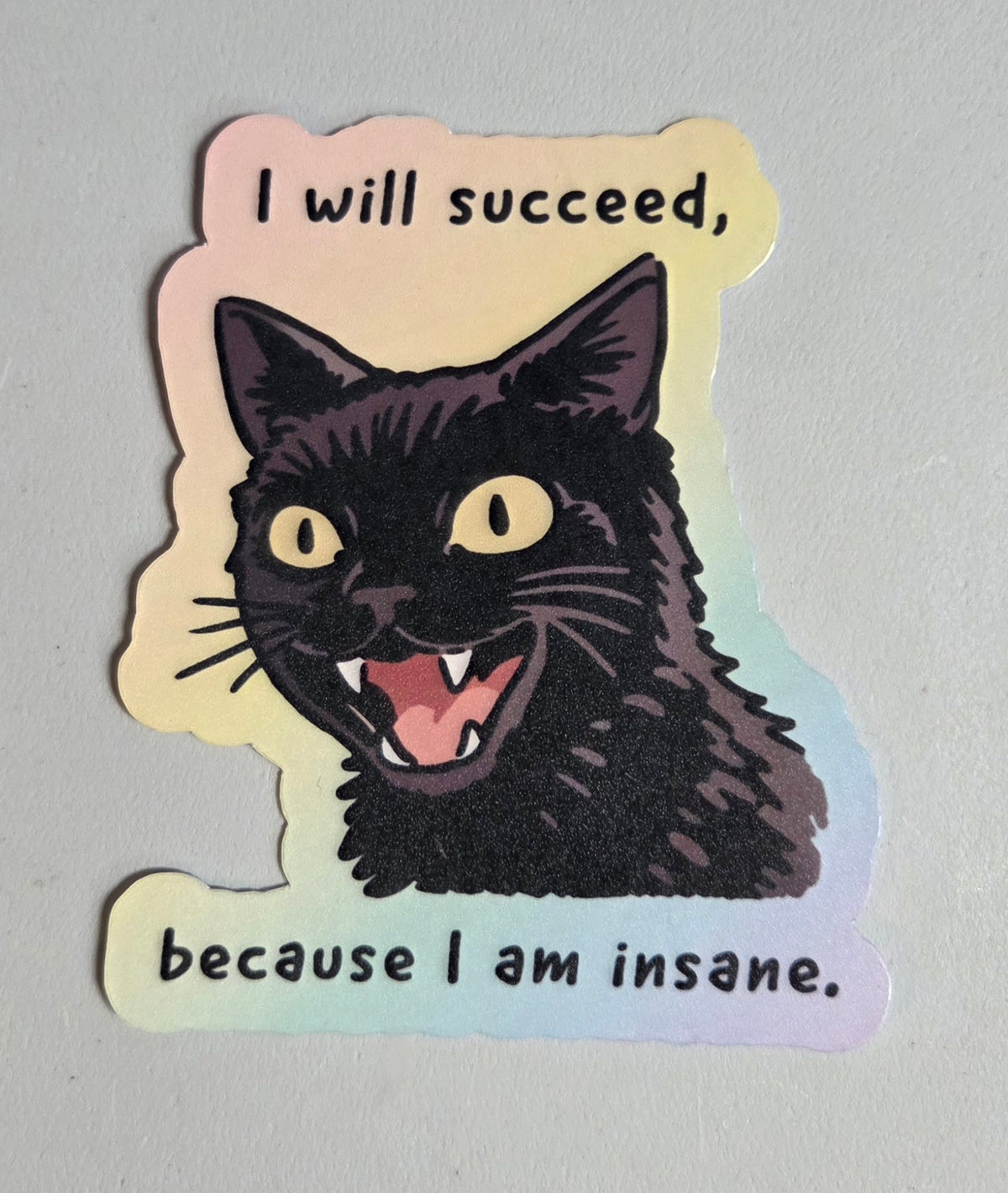 I Will Succeed Because I Am Insane Sticker