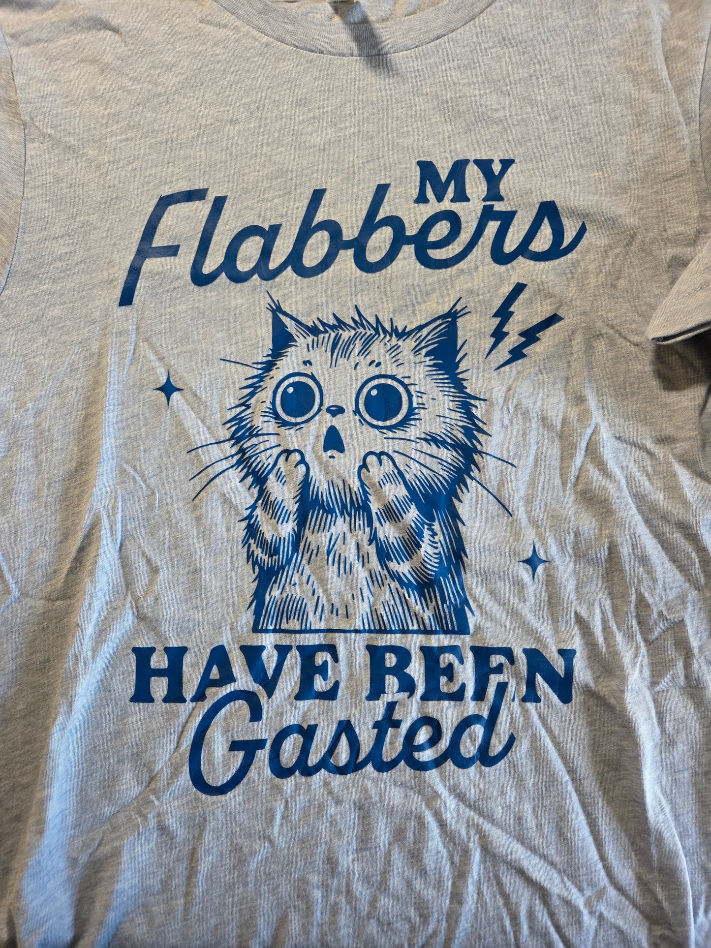 My Flabbers Have Been Gasted T-Shirt