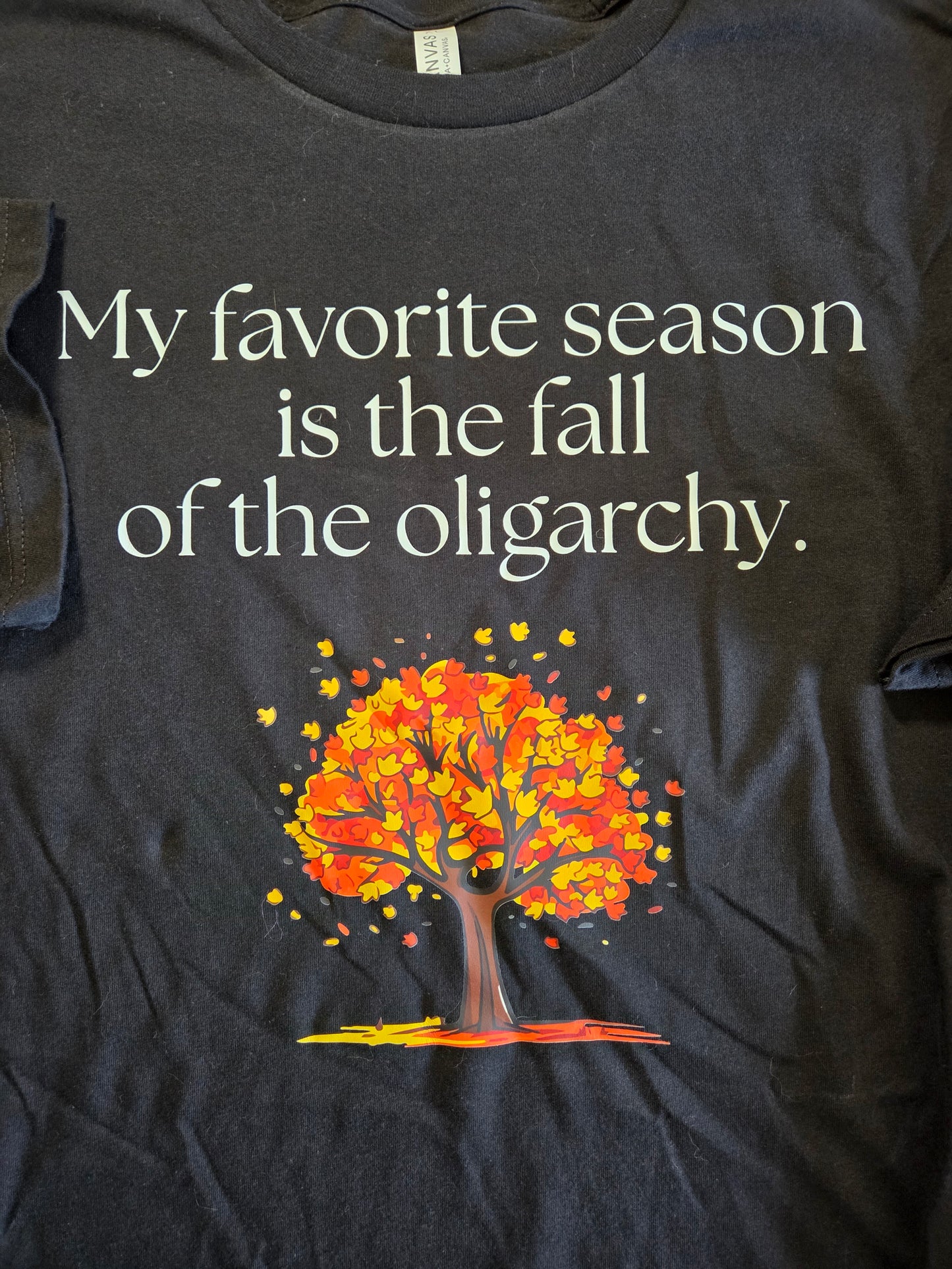 My Favorite Season is the Fall of the Oligarchy T-Shirt
