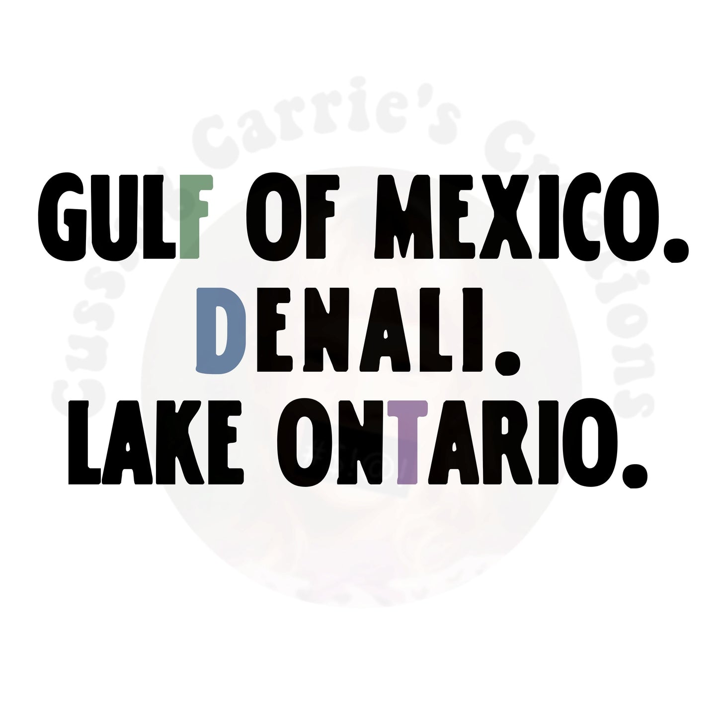 Gulf of Mexico Denali Lake Ontario Subtle FDT T-Shirt (Not Open to Questions Version)