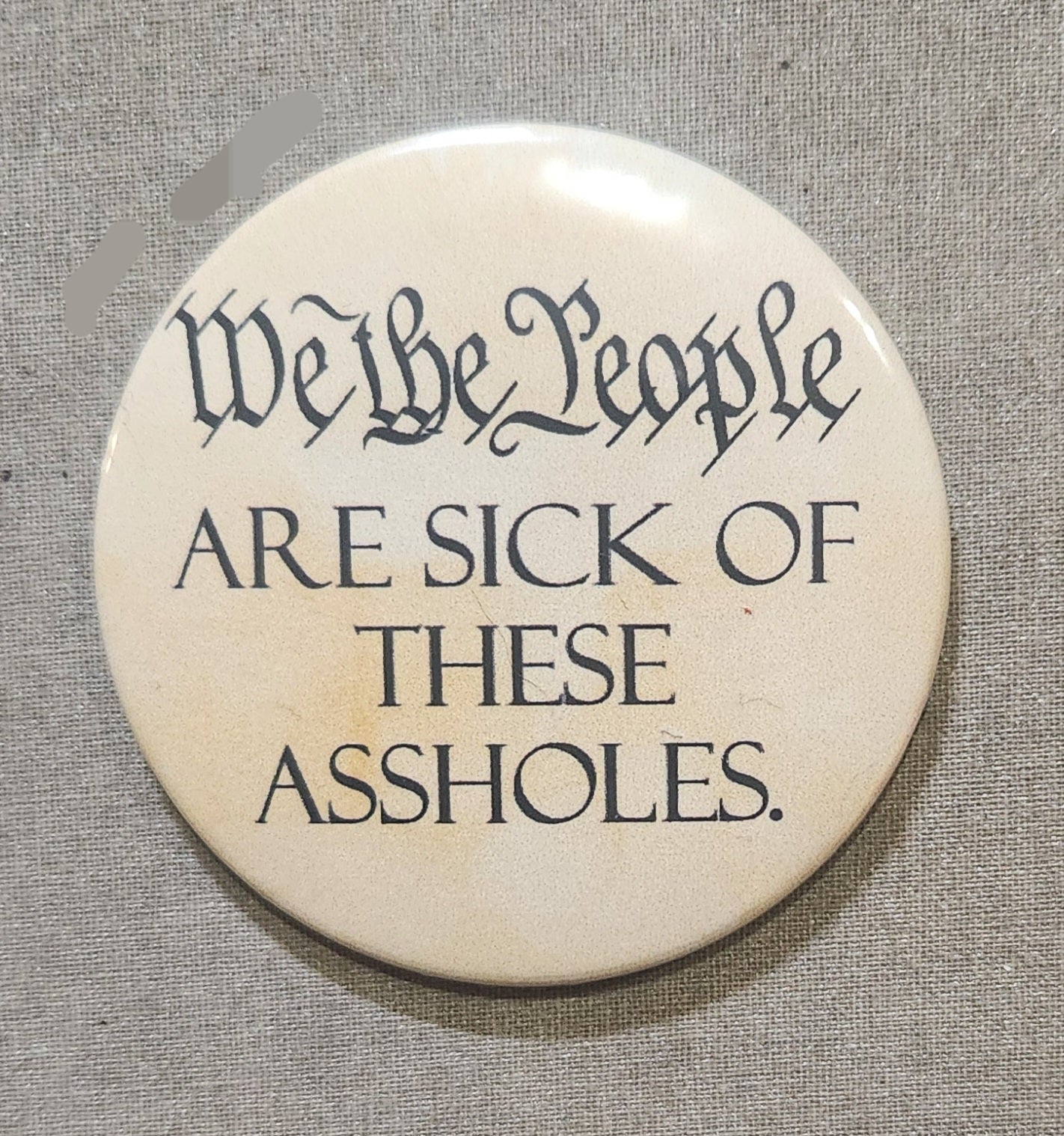 We the People Are Sick of These Assholes Magnet