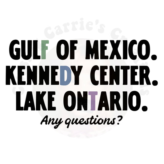 Gulf of Mexico Kennedy Center Lake Ontario Subtle FDT T-Shirt