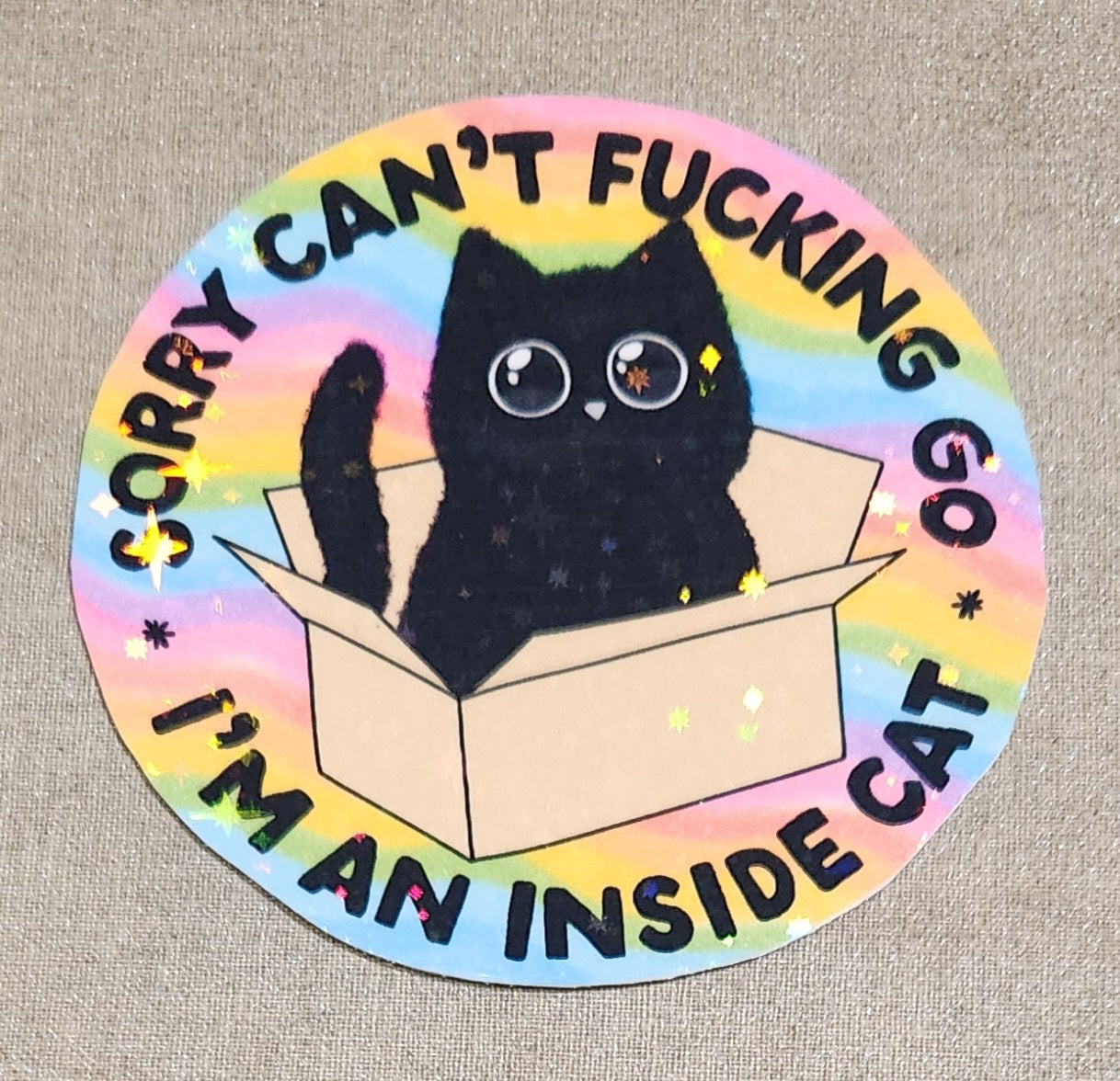 Sorry Can't Fucking Go I'm An Inside Cat Sticker