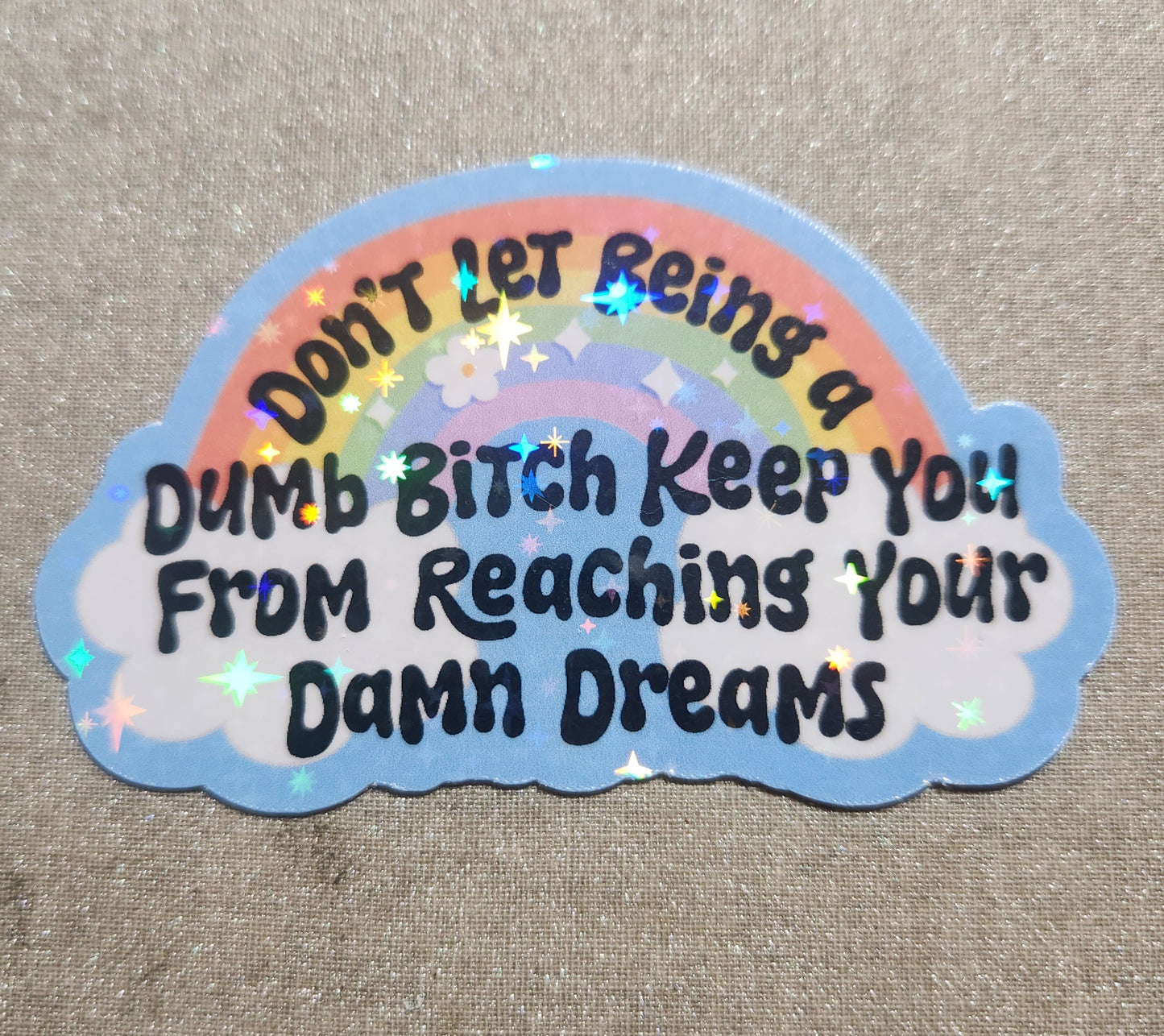 Don't Let Being A Dumb Bitch Keep You From Reaching Your Damn Dreams Sticker