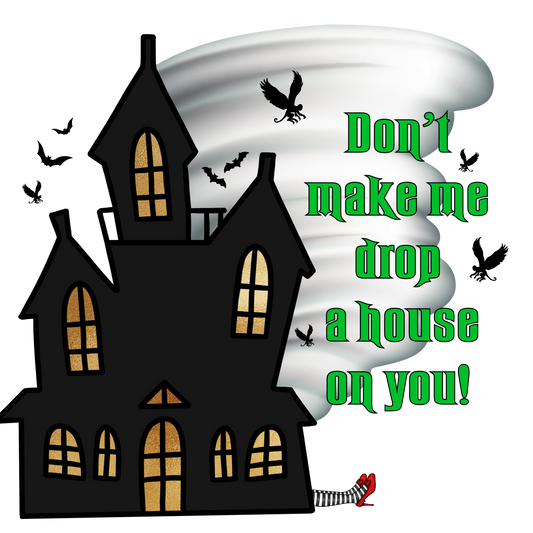 Don't Make Me Drop a House on You T-Shirt