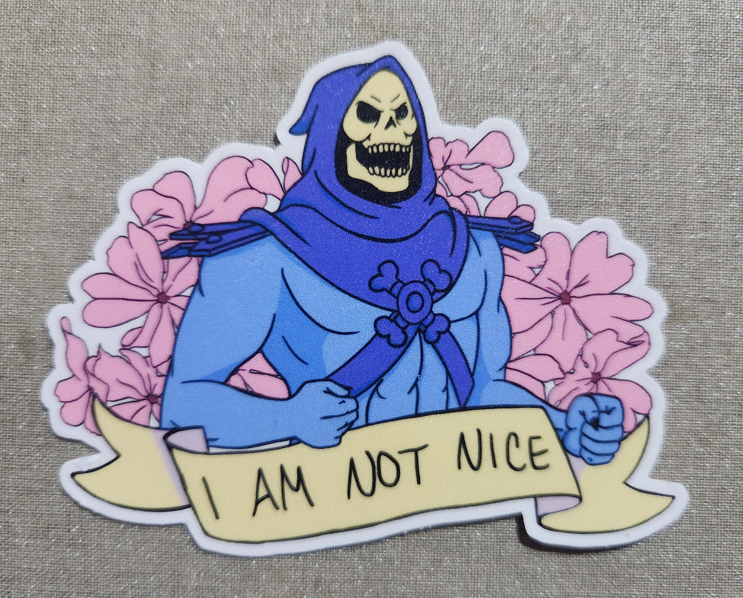 I Am Not Nice Skeletor Sticker