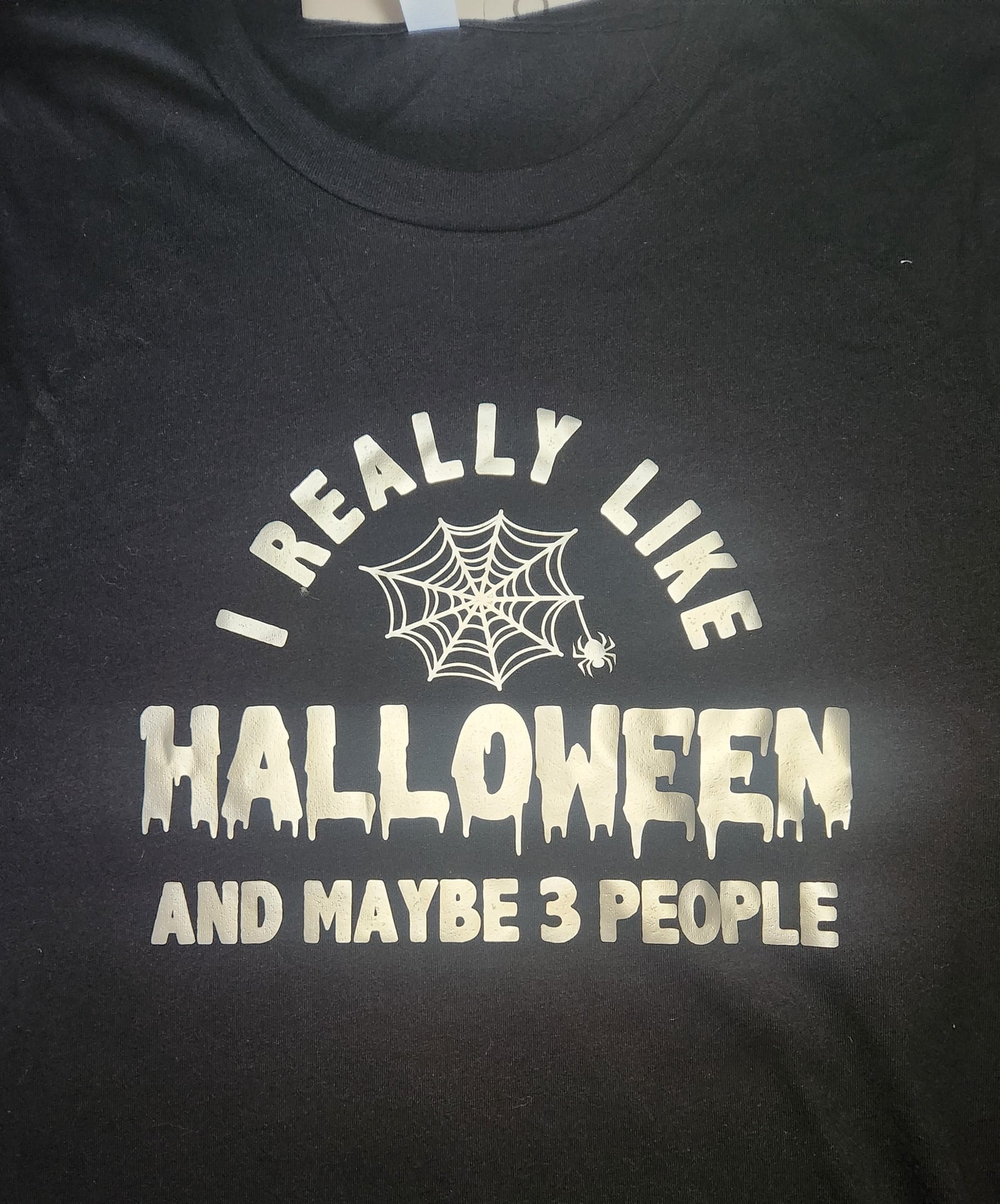 I Really Like Halloween And Maybe 3 People T-Shirt