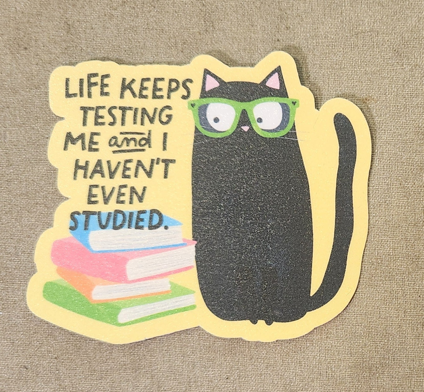 Life Keeps Testing Me and I Haven't Even Studied Sticker