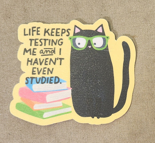 Life Keeps Testing Me and I Haven't Even Studied Sticker