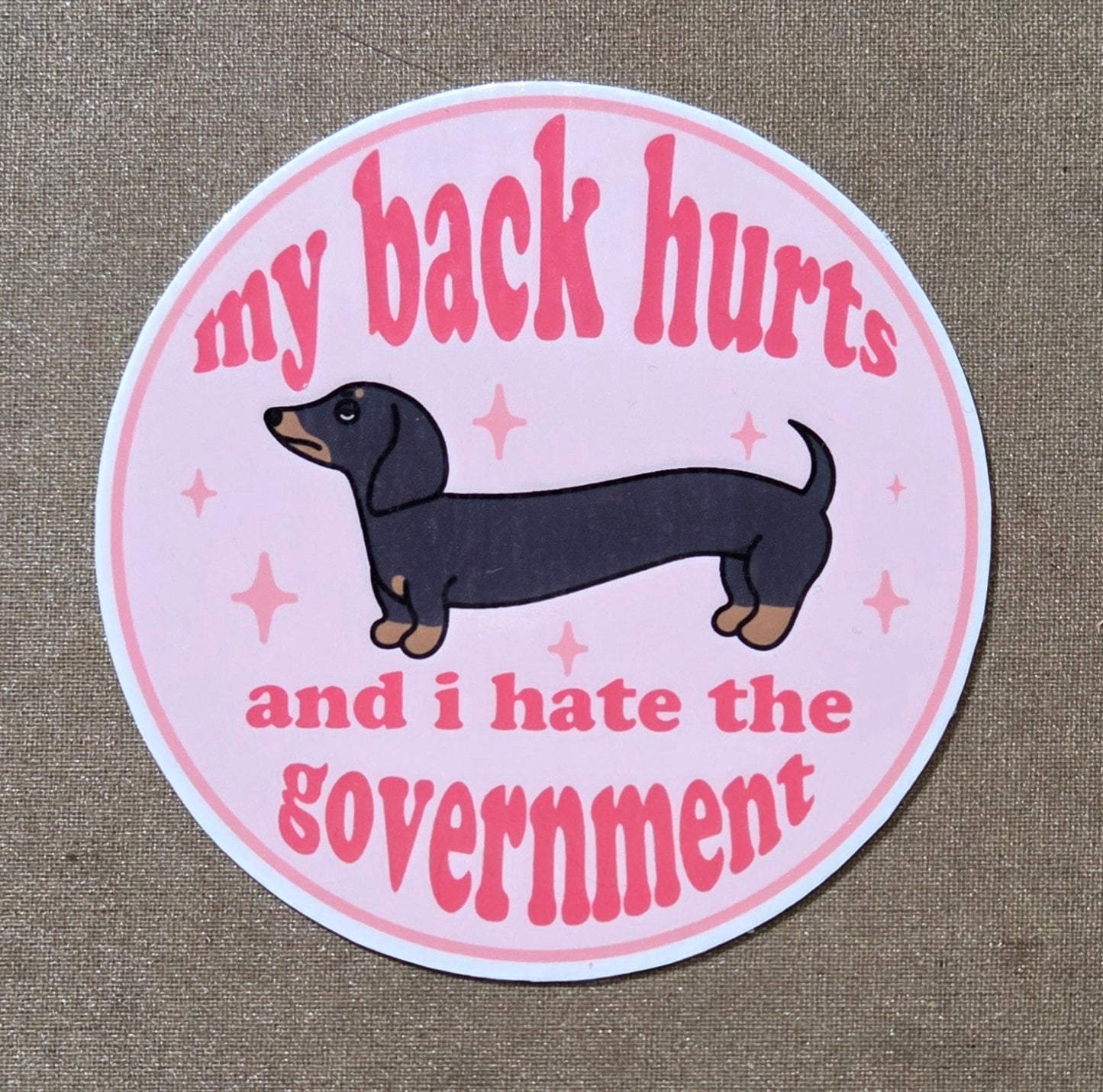 My Back Hurts and I Hate the Government Sticker