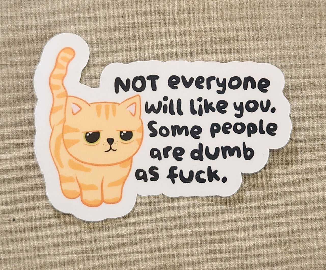 Not Everyone Will Like You Sticker