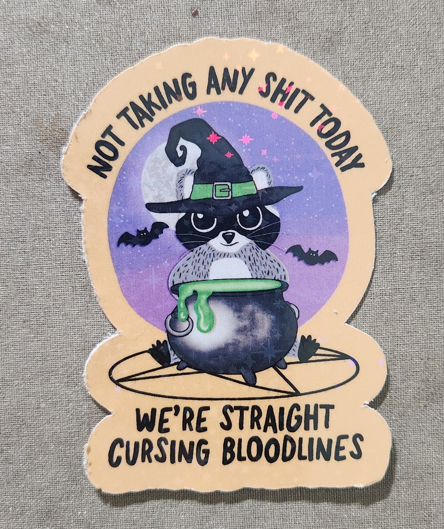 Not Taking Any Shit Today Sticker