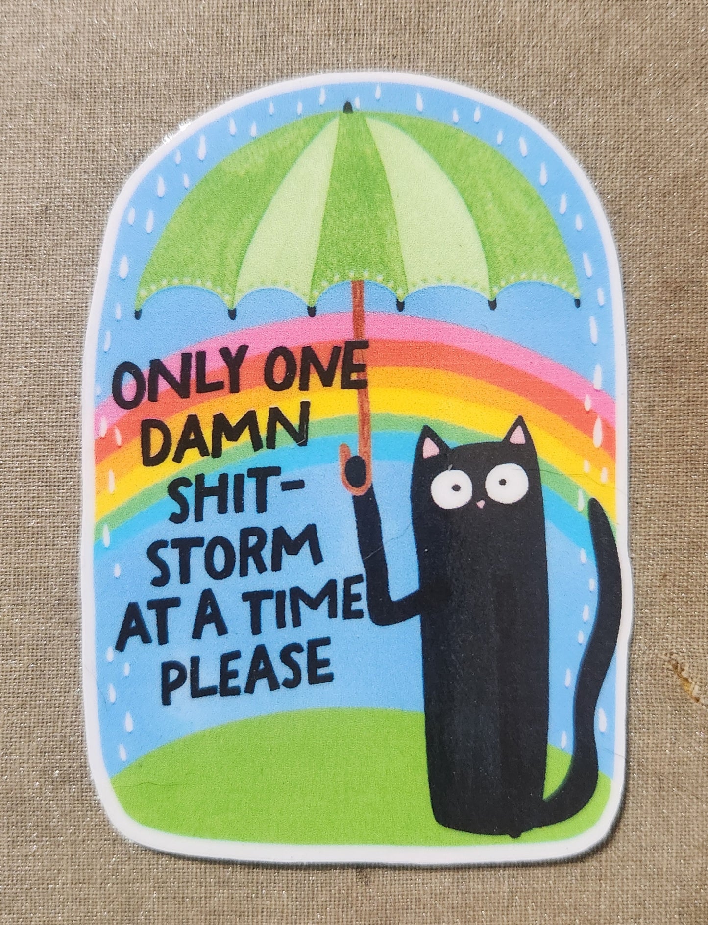 Only One Damn Shitstorm at a Time Please Sticker