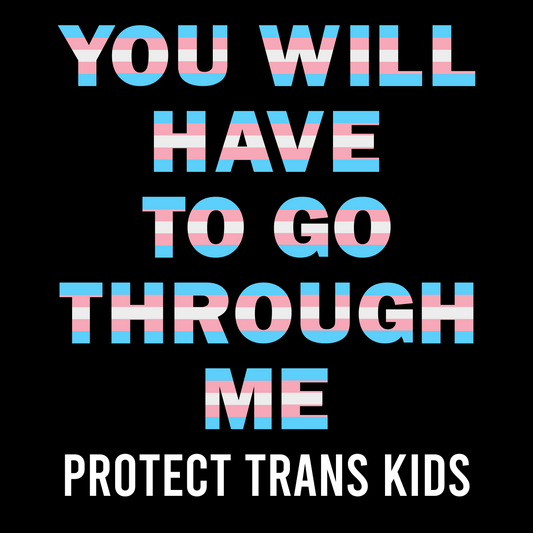You Will Have to Go Through Me (Protect Trans Kids) T-Shirt