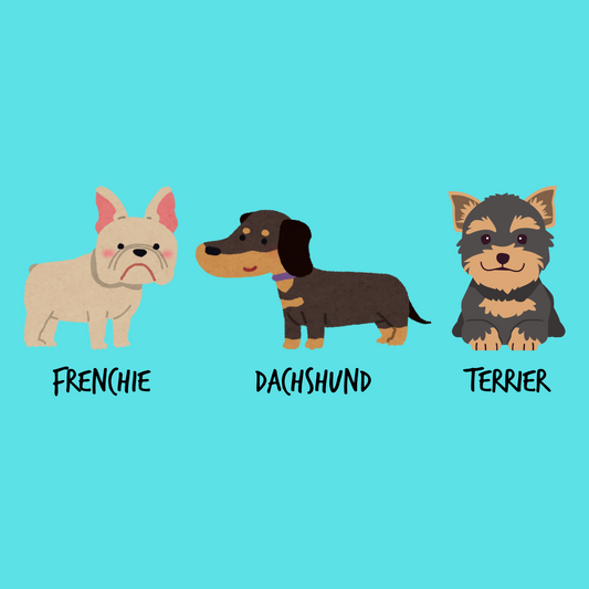 Frenchie Dachshund Terrier Subtle Fuck Trump Shirt